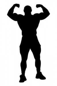 fuerza