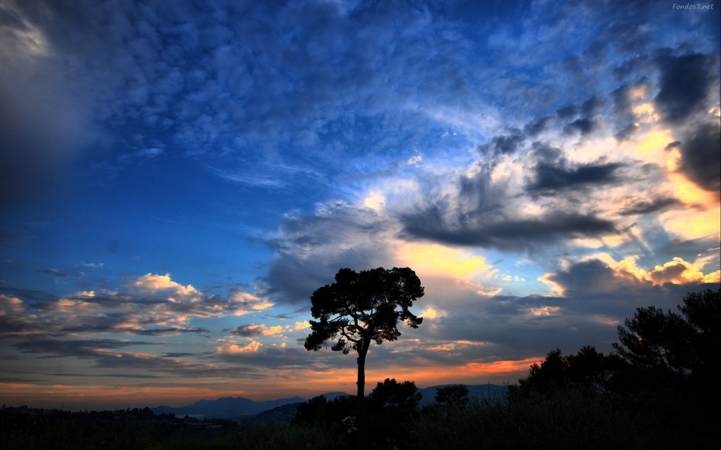 nubes-antes-de-tormentas-6368