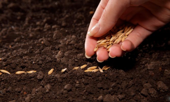 WhatsApp Image 2017-05-18 at 10.18.23 AM