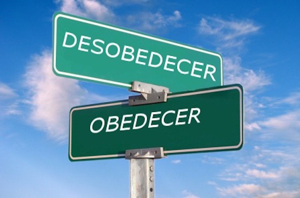 obedece