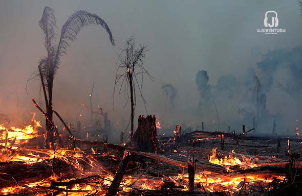 A fire burns a tract of Amazon jungle as it is cleared by a farmer in Machadinho do Oeste, Rondonia state